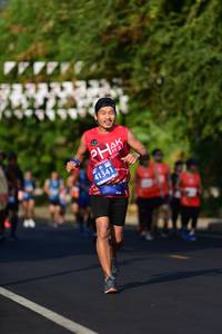 BIB: 41341
                            <button type="button" onclick="openModal(11998935)" class="btn btn-primary btn-sm float-right btn-popup" data-toggle="modal" data-target=".modal-high-quality">
                        <i class="fas fa-shopping-cart"></i> Add to Cart
                    </button>
                                            <button type="button" onclick="isThisMe(11998935, true)" class="btn btn-success btn-sm float-right btn-popup btn-isme hidden" data-toggle="tooltip" data-placement="bottom" title="นี่คือรูปของคุณใช่ไหม คลิกที่นี่เพื่อเอาเข้าอัลบั้ม">
                        <i class="fas fa-plus"></i> Add to album
                    </button>
                    <button type="button" onclick="isThisMe(11998935, false)" class="btn btn-warning btn-sm float-right btn-popup btn-isnotme hidden">
                        <i class="fas fa-ban"></i> Remove from album
                    </button>